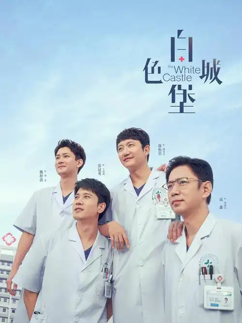 律师本色 电视剧海报